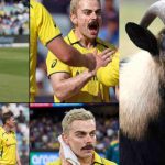 Virat Kohli: ఒరేయ్.. మీ దుంప తెగ, విరాట్ కోహ్లీని గుర్తుప‌ట్ట‌కుండా చేశారు క‌ద‌రా