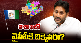 Visakhapatnam politics: విశాఖ లో వైసీపీకి దిక్కెవరు?