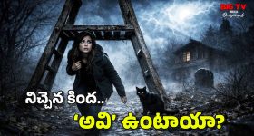 Walking Under Ladder: నిచ్చెన కింద నిలబడితే బ్యాడ్ లక్? దాని కింద నడిస్తే.. అలా జరుగుతుందా, బాబోయ్!