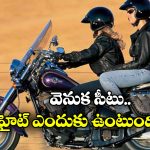 Pillion Seat: కొన్ని బైక్స్ లో రైడర్ సీటు కంటే వెనుక సీటు ఎక్కువ హైట్ లో ఉంటుంది.. ఎందుకో తెలుసా?