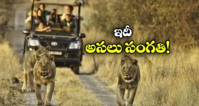 Congress : వాటర్ వార్ ఓవర్.. గురితప్పకుండా నెక్ట్స్ టార్గెట్ ఫిక్స్ చేసిన కాంగ్రెస్!