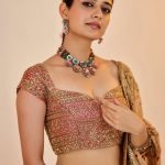 Ashika Ranganath : అబ్బా.. లంగావోణిలో ఆషిక ముద్దొస్తుంది మావా.. స్టిల్స్ మాములుగా లేవు..