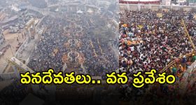 Medaram Jatara 2026: మేడారంలో వనదేవతల మహోత్సవం.. భక్తుల కోలాహలం మధ్య వనంలోకి అమ్మవార్లు..!