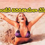 Sci-fi Horror Thriller OTT : ఈ బీచ్ కెళ్తే తిరిగిరారు… కంటికి కన్పించకుండా ప్రాణాలు తీసే వింత జీవి… మెంటలెక్కించే సై-ఫై డ్రామా