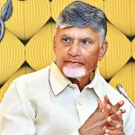Chandrababu Naidu: ఏఐ ద్వారా ప్రభుత్వ ఫిర్యాదుల పరిష్కారం.. ఏపీలో టెక్నాలజీ పాలనపై సీఎం చంద్రబాబు సమీక్ష! 