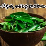 Curry Leaves Benefits: జీర్ణ సమస్యలకు చెక్ పెట్టి.. లివర్‌ని క్లీన్ చేసే కరివేపాకు.. పళ్లెం నుంచి తీసిపారేస్తే నష్టపోయేది మీరే!