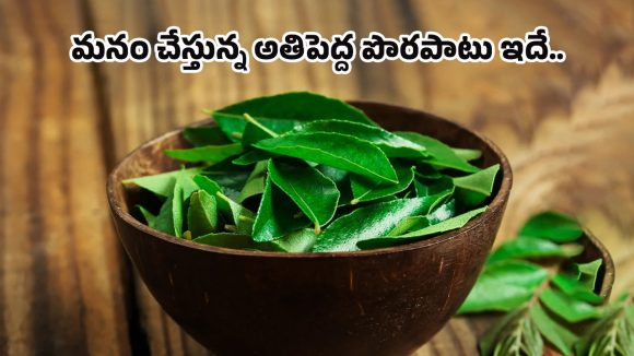 Curry Leaves Benefits: జీర్ణ సమస్యలకు చెక్ పెట్టి.. లివర్‌ని క్లీన్ చేసే కరివేపాకు.. పళ్లెం నుంచి తీసిపారేస్తే నష్టపోయేది మీరే!