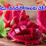 Dragon Fruit Benefits: యవ్వనంగా కనిపించాలా? క్యాన్సర్ దరిచేరకూడదా? అయితే ఈ పింక్ పండును అస్సలు వదలకండి!