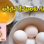 Egg White for Skin: గుడ్డు తెల్లసొనను ఇలా వాడితే 40లోనూ యవ్వనమైన మెరుపు గ్యారెంటీ.. మీరూ ట్రై చేస్తారా మరి?