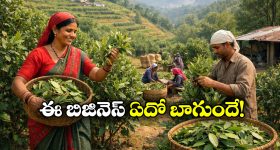 Eesha Rebba: స్ట్రెస్ ఎక్కువంటే తాగుతాను.. ఆల్కహాల్ అలవాటుపై హీరోయిన్ ఓపెన్ కామెంట్స్