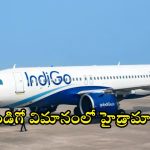 IndiGo Flight: నా డ్యూటీ అయిపోయింది.. నేను రాను ! పైలట్ నిర్ణయంతో గందరగోళం, వీడియో వైరల్