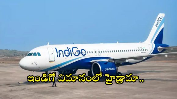 IndiGo Flight: నా డ్యూటీ అయిపోయింది.. నేను రాను ! పైలట్ నిర్ణయంతో గందరగోళం, వీడియో వైరల్
