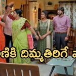 Gundeninda GudiGantalu Today episode: మీనాపై రెచ్చిపోయిన రోహిణి.. మీనాను కొట్టబోయిన ప్రభా.. మీనాకు అండగా బాలు..