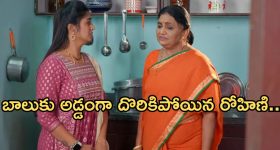 Home Remedies For White Hair: ఇది ఒక్క సారి వాడితే.. జన్మలో తెల్ల జుట్టు రాదు