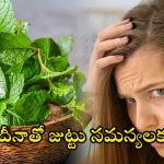 Pudina Leaves For Hair: జుట్టు సమస్యలు చెక్ పెట్టే పుదీనా.. ఎలా వాడాలో తెలుసా ?