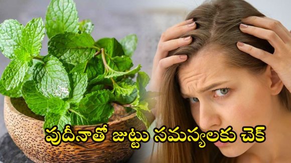Pudina Leaves For Hair: జుట్టు సమస్యలు చెక్ పెట్టే పుదీనా.. ఎలా వాడాలో తెలుసా ?