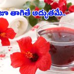 Hibiscus Water Benefits: మందారం పువ్వులను పూజకే కాదు.. ఇలా వాడితే సంపూర్ణ ఆరోగ్యాన్ని పొందవచ్చు!