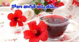 Hibiscus Water Benefits: మందారం పువ్వులను పూజకే కాదు.. ఇలా వాడితే సంపూర్ణ ఆరోగ్యాన్ని పొందవచ్చు!