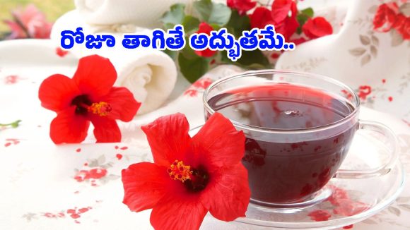 Hibiscus Water Benefits: మందారం పువ్వులను పూజకే కాదు.. ఇలా వాడితే సంపూర్ణ ఆరోగ్యాన్ని పొందవచ్చు!