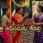 Illu Illalu Pillalu Today Episode: తిరుపతికి షాక్… ధీరజ్ ను ఆడుకున్న ప్రేమ.. పెళ్లి సంబంధం చెడగొట్టిన భాగ్యం..
