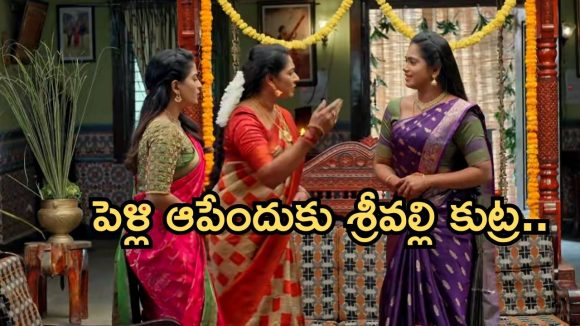 Illu Illalu Pillalu Today Episode: తిరుపతికి షాక్… ధీరజ్ ను ఆడుకున్న ప్రేమ.. పెళ్లి సంబంధం చెడగొట్టిన భాగ్యం..
