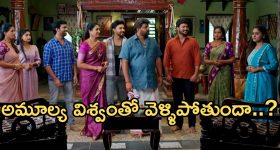 Illu Illalu Pillalu Today Episode: శ్రీవల్లికి మరో షాక్.. విశ్వంకు నిజం చెప్పిన అమూల్య.. భాగ్యం ప్లాన్ ఏంటి..?
