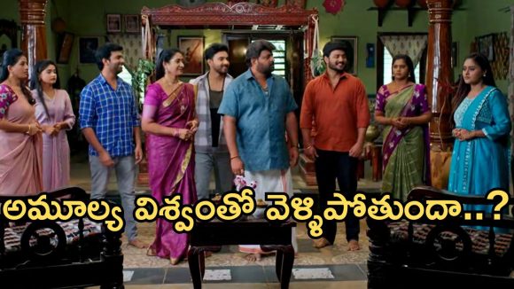 Illu Illalu Pillalu Today Episode: శ్రీవల్లికి మరో షాక్.. విశ్వంకు నిజం చెప్పిన అమూల్య.. భాగ్యం ప్లాన్ ఏంటి..?