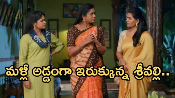 Illu Illalu Pillalu Today Episode: శ్రీవల్లి కొంపకొల్లేరు.. నర్మదకు శ్రీవల్లి పై అనుమానం..ధీరజ్ ను ఇరికించిన ప్రేమ..