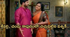 Illu Illalu Pillalu Today Episode: ప్రేమపై ధీరజ్ సీరియస్.. శ్రీవల్లి పై చందుకు అనుమానం.. నర్మద సాగర్ రొమాన్స్..