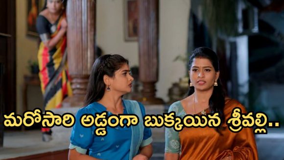 Illu Illalu Pillalu Today Episode: పెళ్లి చెడగొట్టేందుకు విశ్వం ప్లాన్.. రామరాజు ఎమోషనల్.. చిక్కుల్లో పడ్డ శ్రీవల్లి..