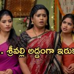 Illu Illalu Pillalu Today Episode: తండ్రి మాట కోసం అమూల్య ఎమోషనల్.. అన్నల ప్రేమకు ఫిదా.. విశ్వంకు దిమ్మతిరిగే షాక్..