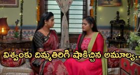Illu  Illalu Pillalu Today Episode: శ్రీవల్లిని ఇరికించిన విశ్వం.. అమూల్య మాటతో విశ్వం కన్నీళ్లు.. ఫన్నీగా ప్రేమ, ధీరజ్ ఫైట్..