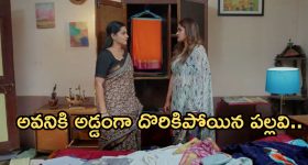 Intinti Ramayanam Today Episode: అక్షయ్ కీలక నిర్ణయం.. పల్లవికి దిమ్మతిరిగే షాక్.. శ్రీయకు అబార్షన్..?