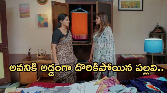 Intinti Ramayanam Today Episode: అక్షయ్ కీలక నిర్ణయం.. పల్లవికి దిమ్మతిరిగే షాక్.. శ్రీయకు అబార్షన్..?