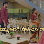 Intinti Ramayanam Today Episode: సిటీకి వచ్చిన కోటిలింగం..చక్రధర్ కోసం పల్లివి కొత్త డ్రామా.. చక్రధర్ ను విడిపిస్తారా..?