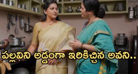 Intinti Ramayanam Today Episode: అవనిని ఆడుకున్న పల్లవి.. మీనాక్షి మాటతో అనుమానం.. పల్లవి ప్రగ్నెంట్ కాదా?