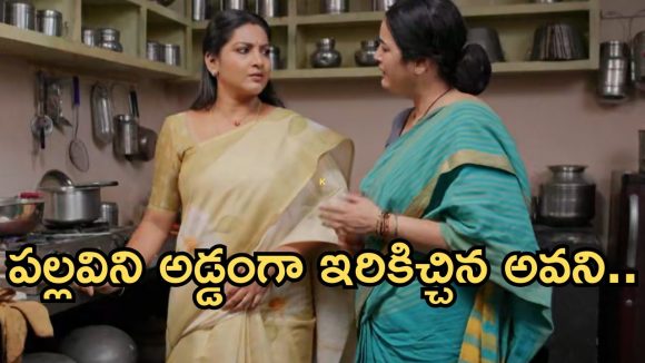 Intinti Ramayanam Today Episode: అవనిని ఆడుకున్న పల్లవి.. మీనాక్షి మాటతో అనుమానం.. పల్లవి ప్రగ్నెంట్ కాదా?