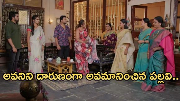Intinti Ramayanam Today Episode: పల్లవి పై అవనికి అవమానం..పల్లవి ప్లాన్ సక్సెస్.. నడుం విరగొట్టిన భానుమతి..
