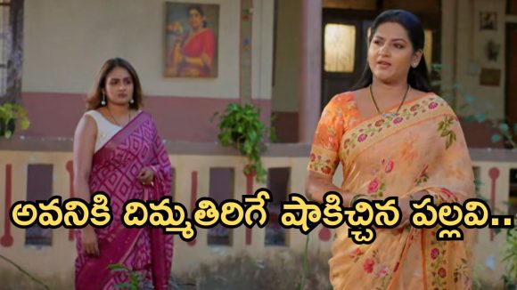 Intinti Ramayanam Today Episode: పల్లవి ప్లాన్ సక్సెస్.. రాజేంద్ర కీలక నిర్ణయం.. దిమ్మతిరిగే షాకివ్వబోతున్న శ్రీయ..