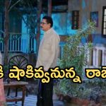 Intinti Ramayanam Today Episode: పల్లవికి అవని స్ట్రాంగ్ వార్నింగ్.. సంతకం పెట్టని అవని.. చక్రధర్ గురించి బయటపడ్డ నిజాలు..