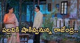 Ratha Saptami: నేడు ఘనంగా రథసప్తమి వేడుకలు.. భక్తులతో కిక్కిరిసిన ఆలయాలు