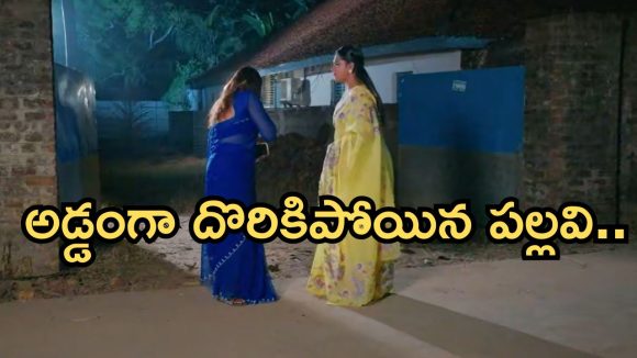 Intinti Ramayanam Today Episode: గుడ్ న్యూస్ చెప్పిన శ్రీయ.. పల్లవికి షాక్.. అవనికి నిజం తెలుస్తుందా..?