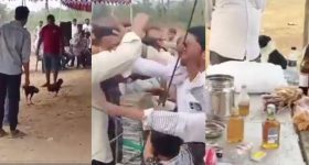 YSRCP: సంక్రాంతి ముసుగులో 'కేసినో' దందా.. కోడిపందేల బరిలో ఘర్షణలపై వైసీపీ ఫైర్!