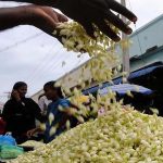 Jasmine Flower: ఓ వైపు బంగారం.. మరోవైపు మల్లెపూలు.. మార్కెట్లో రికార్డు స్థాయిలో ధరలు