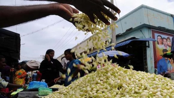 Jasmine Flower: ఓ వైపు బంగారం.. మరోవైపు మల్లెపూలు.. మార్కెట్లో రికార్డు స్థాయిలో ధరలు