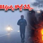 Cold Waves Alert: కనిపించని దారి.. ఆగని మంచు.. రాష్ట్రవ్యాప్తంగా రహదారులపై ప్రమాదకర పరిస్థితులు