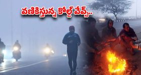 Cold Waves Alert: కనిపించని దారి.. ఆగని మంచు.. రాష్ట్రవ్యాప్తంగా రహదారులపై ప్రమాదకర పరిస్థితులు
