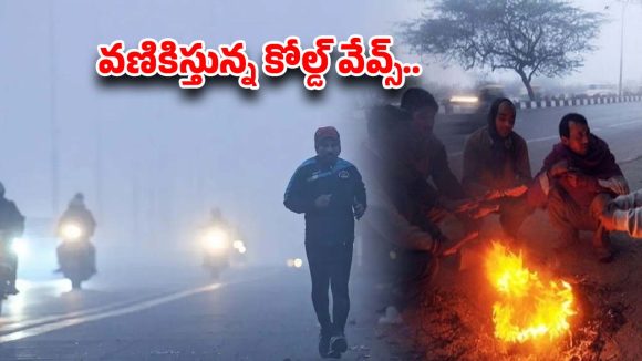 Cold Waves Alert: కనిపించని దారి.. ఆగని మంచు.. రాష్ట్రవ్యాప్తంగా రహదారులపై ప్రమాదకర పరిస్థితులు