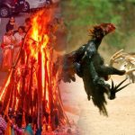Sankranthi: షాకింగ్.. సంక్రాంతి పండుగ తేదీలు మారాయి.. పందెం రాయుళ్లకు టెన్షన్..