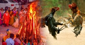 Sankranthi: షాకింగ్.. సంక్రాంతి పండుగ తేదీలు మారాయి.. పందెం రాయుళ్లకు టెన్షన్..